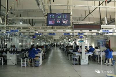 陕西省政协领导莅临伟志公司考察 互联网网站设计助力企业创新与转型